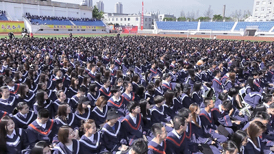 13.gif